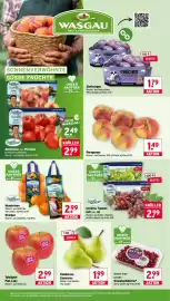 Wasgau Prospekt woche 35 Seite 6