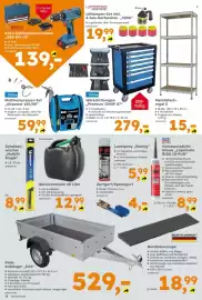 Globus Baumarkt Prospekt woche 35 Seite 10