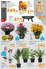 Globus Baumarkt Prospekt woche 35 Seite 7