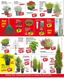 Repo Markt Prospekt woche 35 Seite 2