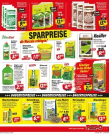 Repo Markt Prospekt woche 35 Seite 3