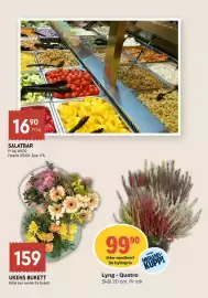 Coop Mega kundeavis uke 35 Side 11: UKENS BUKETT €159,00, Lyng - Quatro, Medlemspris