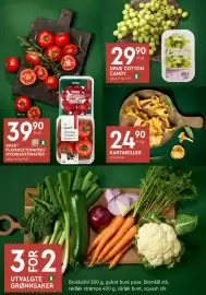 Coop Mega kundeavis uke 35 Side 9: KANTARELLER €24,90, SMAK* FLAVANCETOMATER/ HVERDAGSTOMATER €39,90