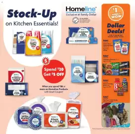 Family Dollar weekly ad week 35 Page 6