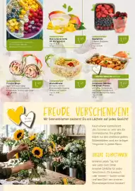 Dornseifer Prospekt woche 35 Seite 8