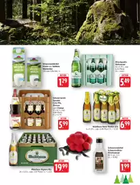 Schmidt's Märkte Prospekt woche 35 Seite 17