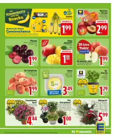Zentralmarkt tilbudsavis uge 35 Side 5