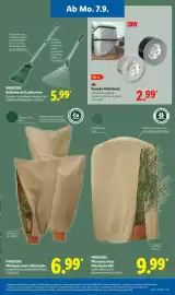 Lidl Prospekt woche 37 Seite 13