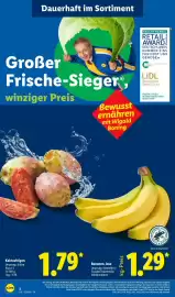 Lidl Prospekt woche 37 Seite 2