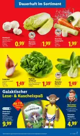 Lidl Prospekt woche 37 Seite 3