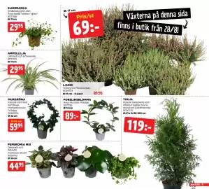 Jem&Fix reklamblad Sida 15: SLIDERANKA €29,95, AMPELLILJA €29,95