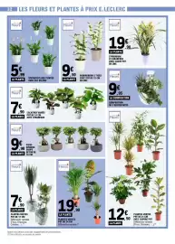 Catalogue E.Leclerc page 32: Dendrobium €9,50, Fleurs Composition de 3 succulentes €9,95