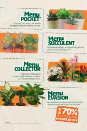 Catalogue Jardiland page 3