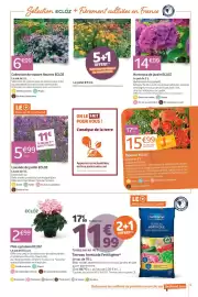 Catalogue Jardiland page 5: ECLOZ Hortensia de jardin €14,99, ECLOZ Collection de vivaces