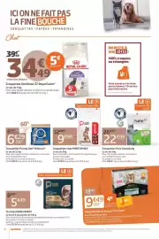 Catalogue Jardiland page 6: PURE FAMILY Terrines €5,49, Purina Pro Plan Pâtée Sterilised €9,49