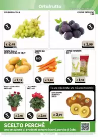 Volantino Gala Supermercati Pagina 7: Uva bianca Italia €2,49, Carote bio €1,89