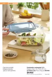 Catálogo Avon Página 29