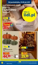 Lidl gazetka tydzień 36 Strona 28: Pluszowe dynie dekoracyjne Livarno 2-pak €44,99, Lampion LED Livarno €29,99