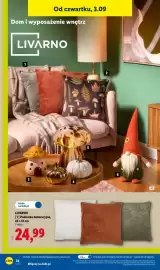 Lidl gazetka tydzień 36 Strona 38: Poduszka dekoracyjna Livarno 45x45 cm €24,99