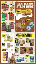Dollar General weekly ad week 35 Page 11