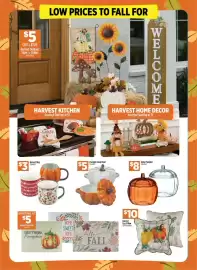 Dollar General weekly ad week 35 Page 13: Harvest Toss Pillow €10,00