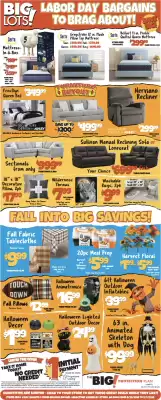 Big Lots (valid until 7-09)