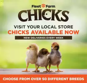 Mills Fleet Farm weekly ad week 35 Page 19