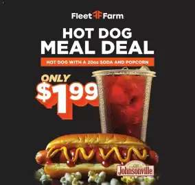 Mills Fleet Farm weekly ad week 35 Page 21