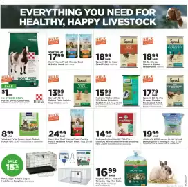 Mills Fleet Farm weekly ad Page 9