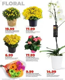 Hy-Vee weekly ad week 35 Page 30