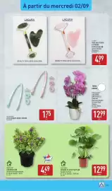 Catalogue ALDI semaine 36 page 45: GARDENLINE GRANDE PLANTE VERTE €12,99, GARDENLINE VÉRONIQUE €4,49