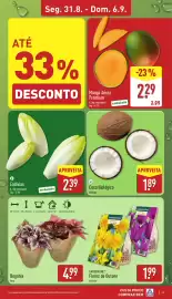 Folheto ALDI semana 36 Página 3: Coco Biológico €1,89, Begónia Vaso €4,99