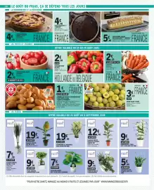 E.Leclerc folder Pagina 18: Spathiphyllum teintée avec pot zinc €5,99, La compo composition de 3 succulentes €9,95