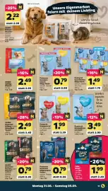 Netto Prospekt woche 36 Seite 19