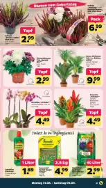 Netto Prospekt woche 36 Seite 23
