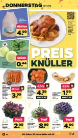 Netto Prospekt woche 36 Seite 38