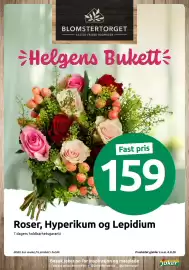 Joker kundeavis uke 35 Side 17: Roser, Hyperikum og Lepidium €159,00