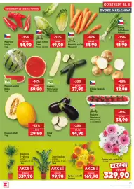 Kaufland leták týden 35 Strana 21