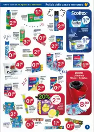 Volantino Ingroshop Pagina 7: Raid Insetticide spray per mosche e zanzara €2,99, Aristea piatti fondi riutilizzabili €2,10