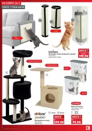 Kaufland leták týden 35 Strana 6: Carinura škrabadlo / sada škrabacích rohožek €119,90