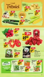 Albert leták týden 35 Strana 15: Albert rajčata cherry oválná €49,90, Albert Zelí kysané bílé €1.490,00