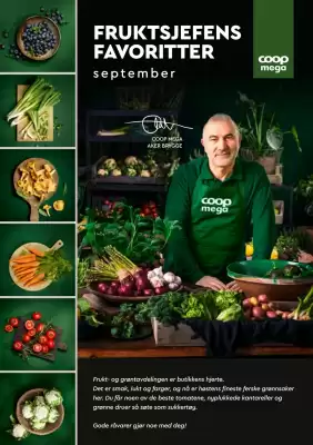 Coop Mega (gyldig til 20-09)