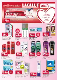 Terno leták týden 35 Strana 14: LACALUT AKTIV 75 ml + KARTÁČEK €79,90, PALETTE COLOR €79,90