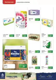 Tamda Foods leták týden 35 Strana 54: Banat dětský kartáček/cestovní set €12,50, Aidplast náplast/páská/gelový obklad €24,90