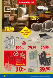 Lidl reklamblad vecka 36 Sida 18: Livarno Ugnsvantar, set €39,90, Livarno batteridriven led-lykta €199,00
