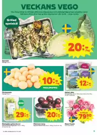Coop Konsum reklamblad vecka 35 Sida 5: Sallad i påse €12,00, Rosor 9-pack €79,90