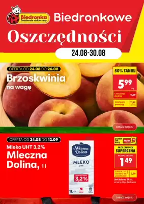 Biedronka gazetka (ważność do 29-08)