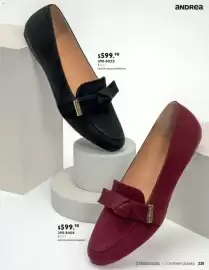 Catálogo Andrea Página 239