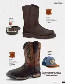 Catálogo Andrea Página 71