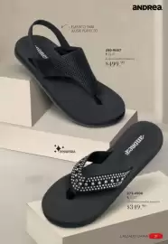 Catálogo Andrea Página 31